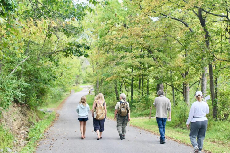 Taking a dip: Forest bathing offers chance to reconnect